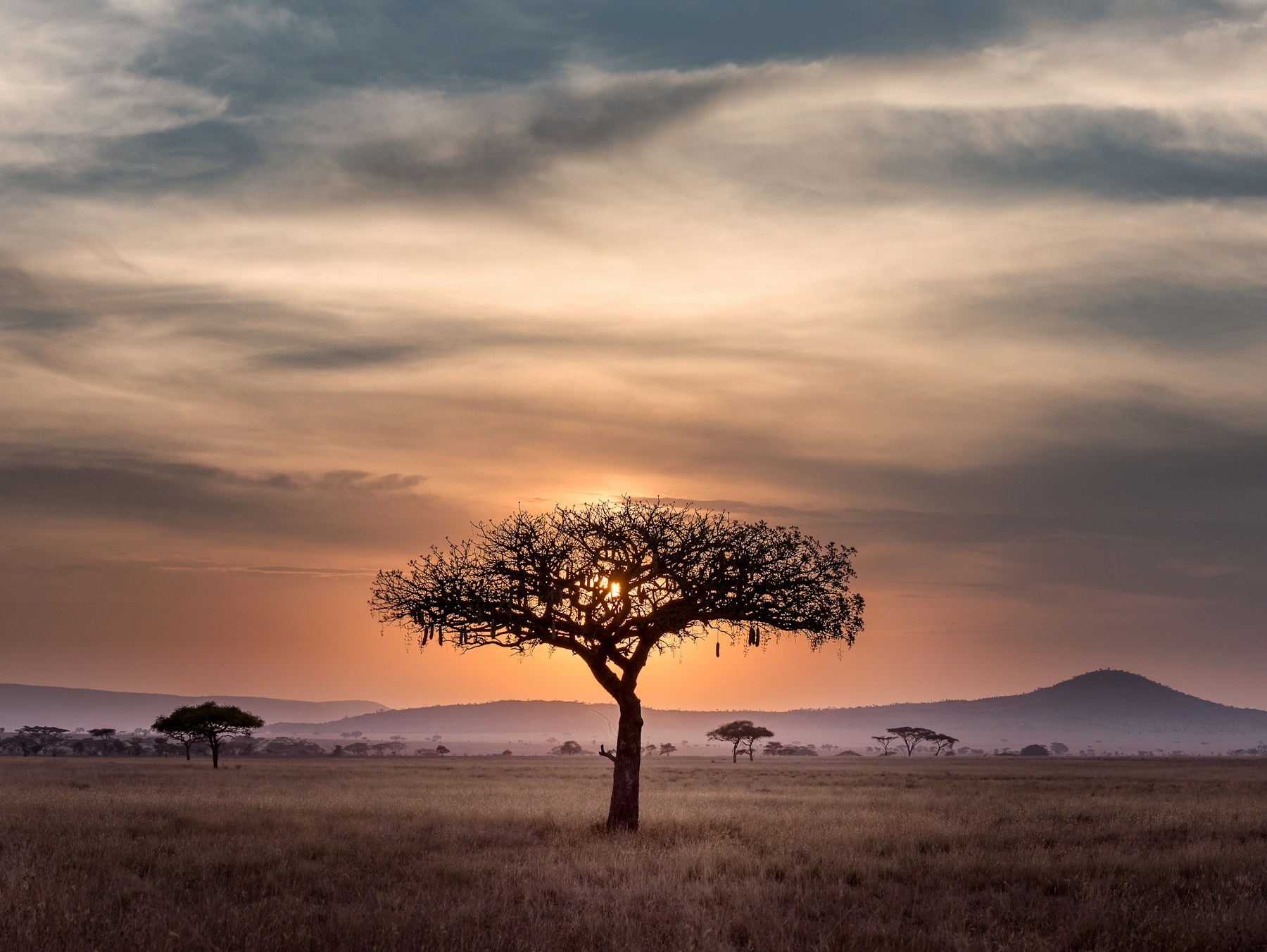 Rwanda, Renewed