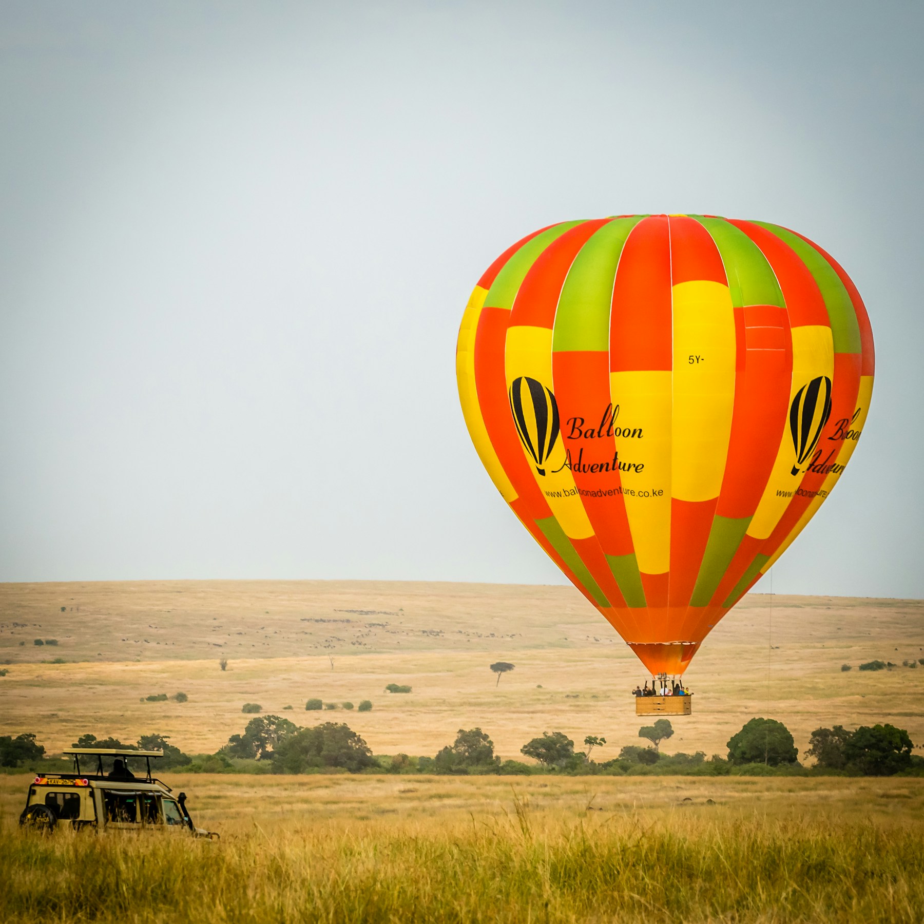 Hot-air balloon floating above the savannah